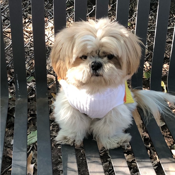 Meet your Posher, Kait - Picture 4 of 4